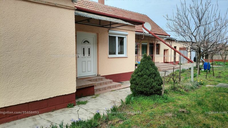 terasz