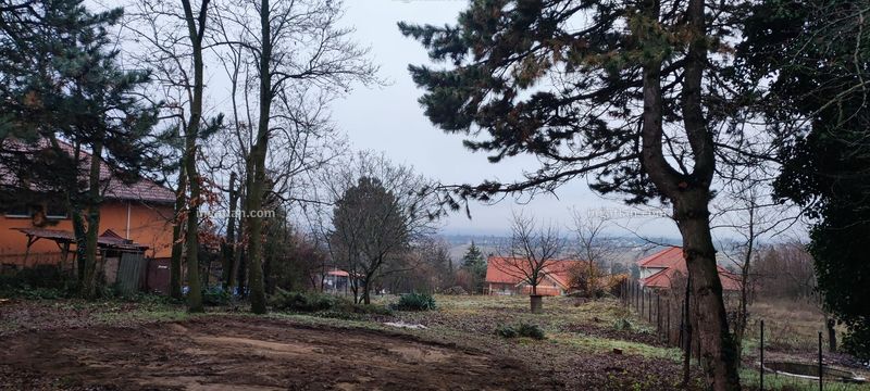 Foto auflisten