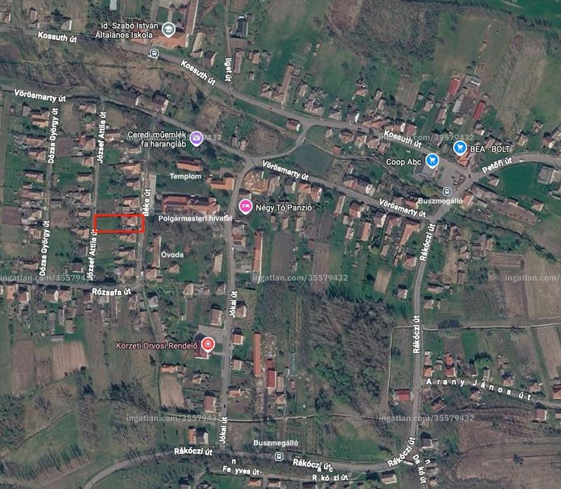 térkép