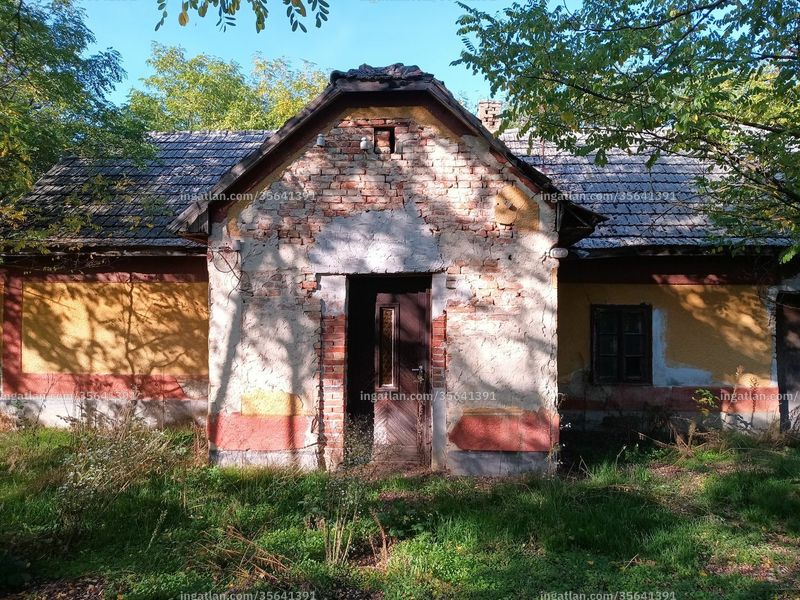Foto auflisten