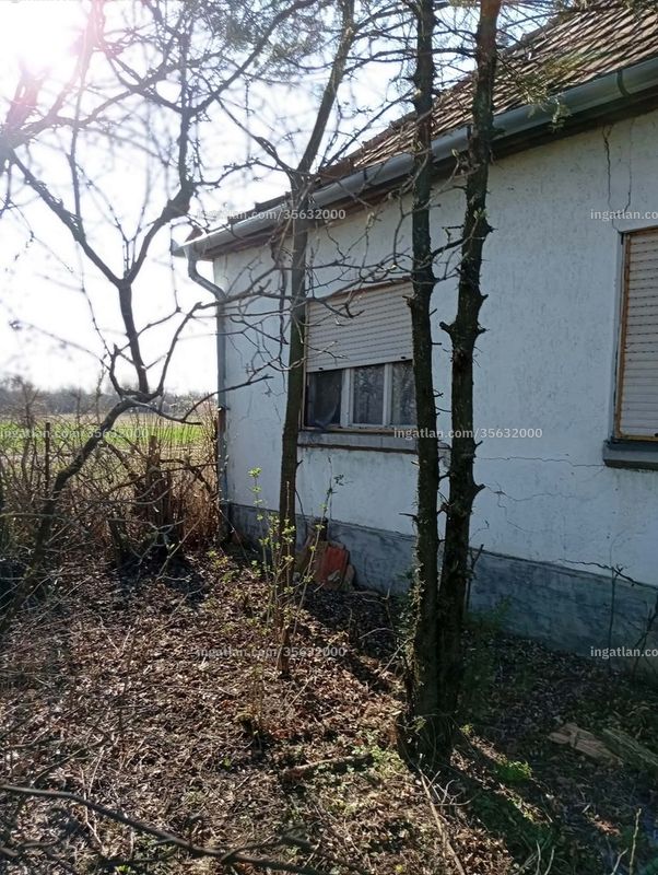Foto auflisten
