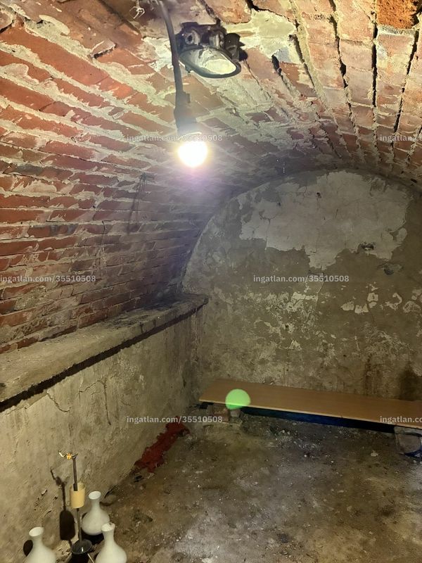 cellar