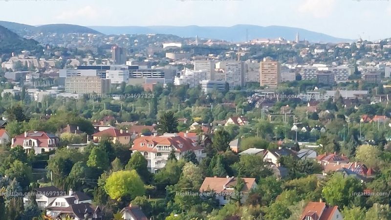 Hirdetés fotója