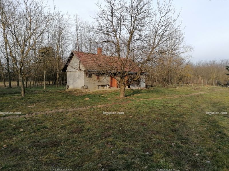 Hirdetés fotója