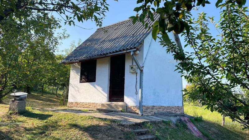 Foto auflisten