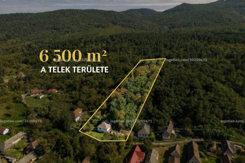 Bild über die Immobilie