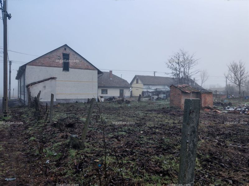 Foto auflisten