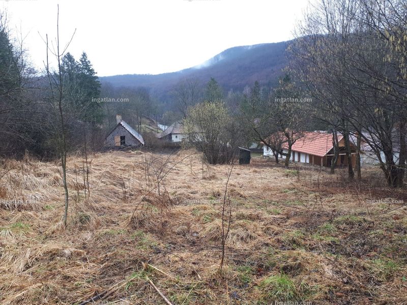 Foto auflisten