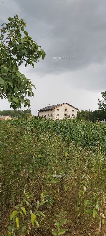 Foto auflisten