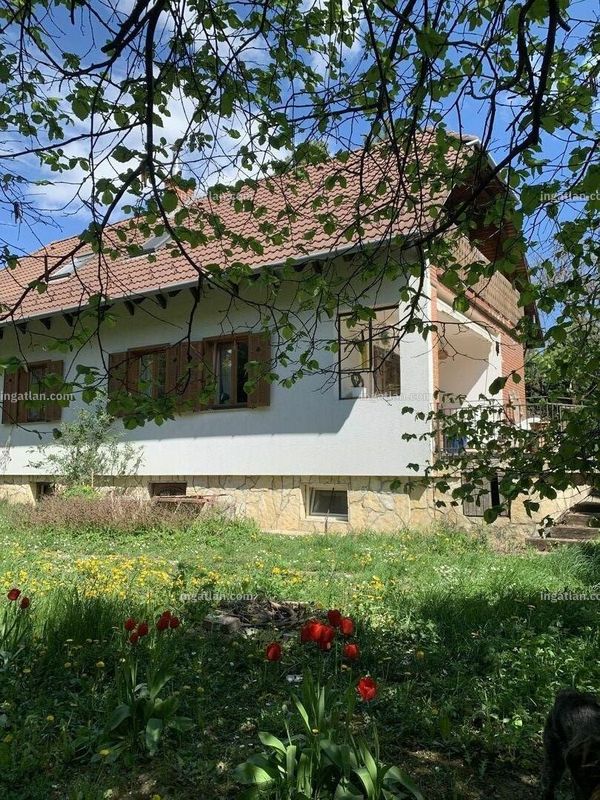 Ingatlan kép