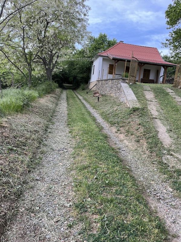 Foto auflisten