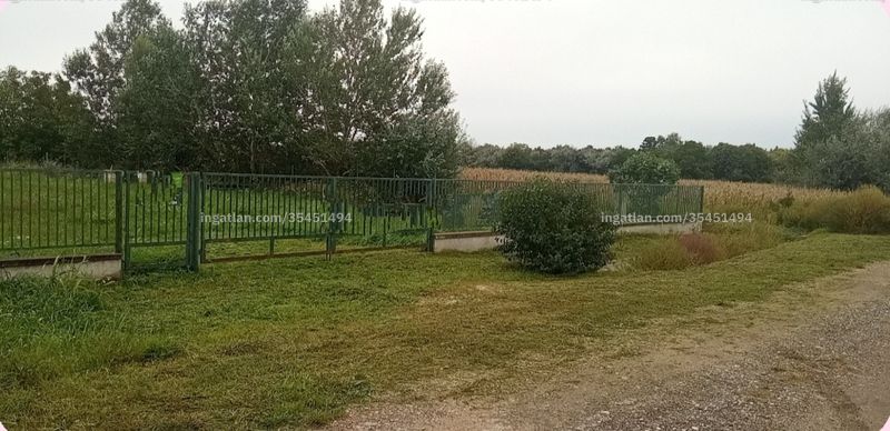 Foto auflisten
