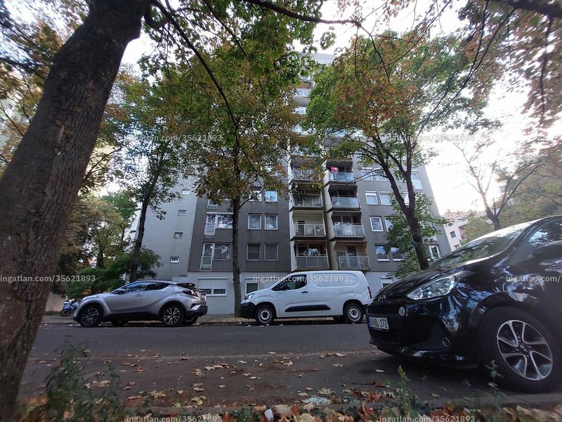 neighborhood