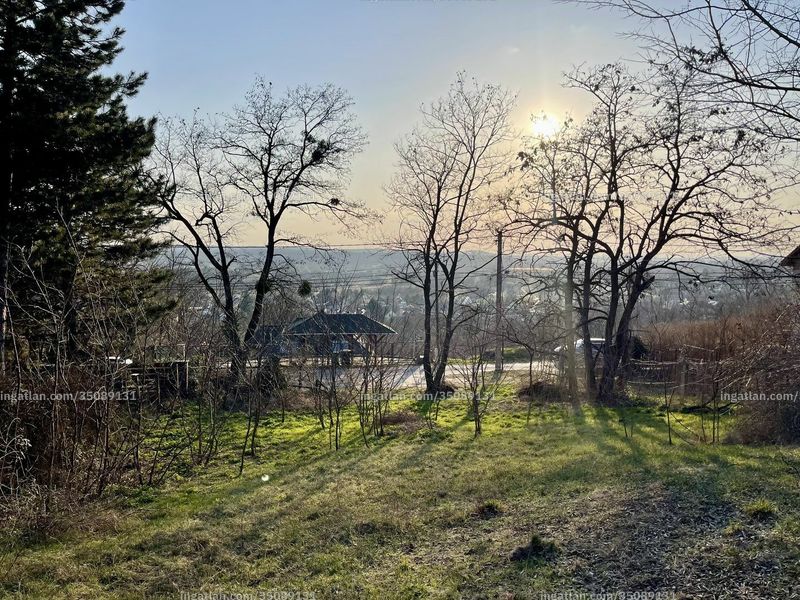 Foto auflisten