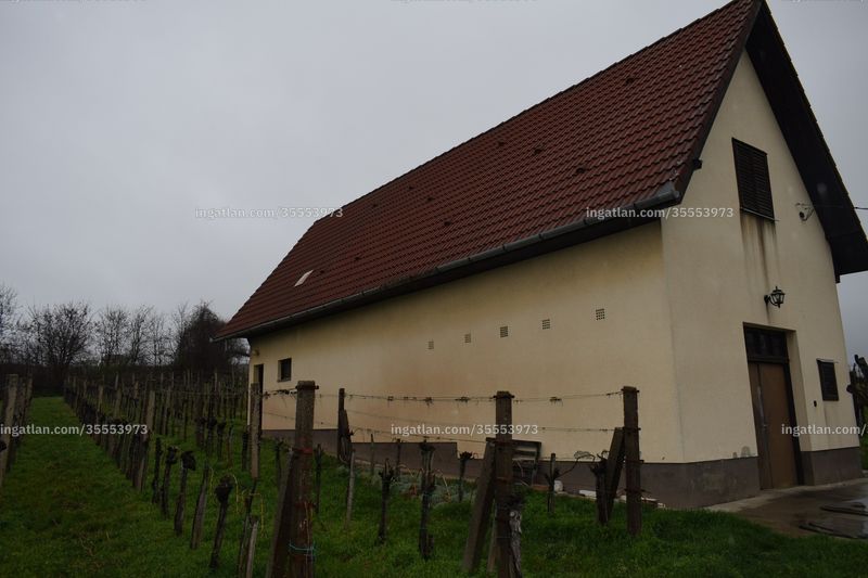 Foto auflisten
