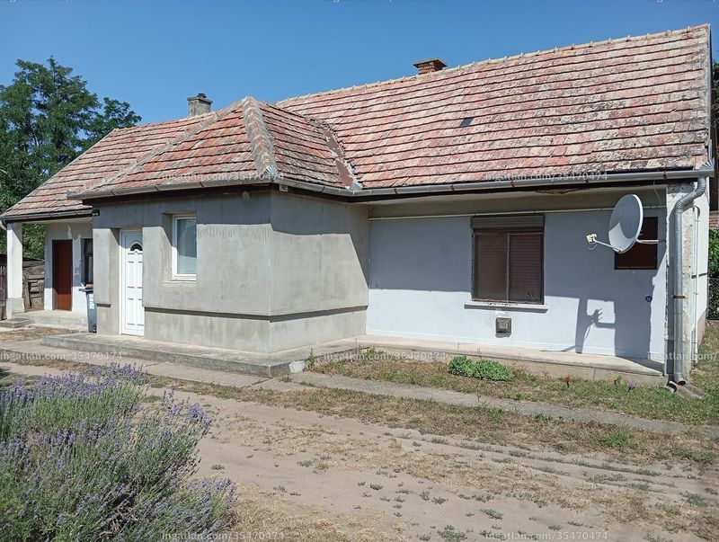 Ingatlan kép