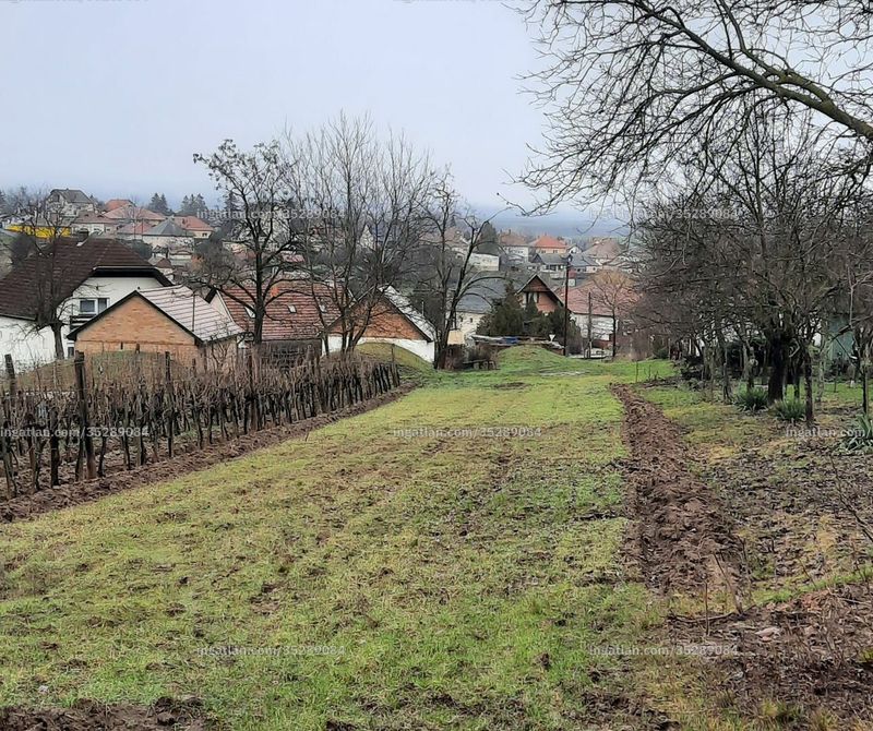 Foto auflisten