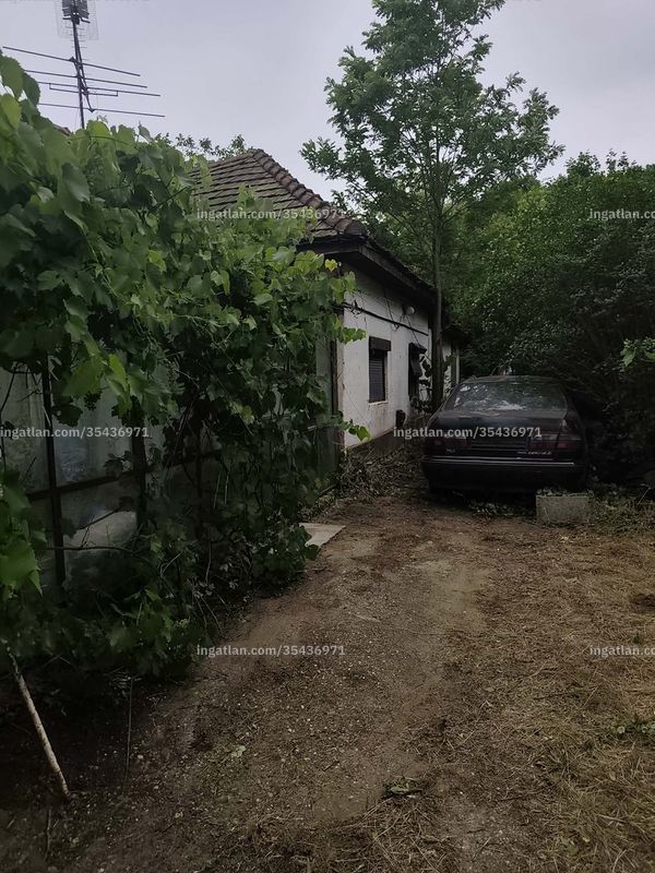 Ingatlan kép