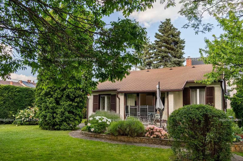 Hirdetés fotója