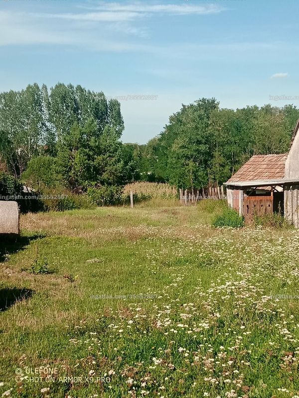 Foto auflisten