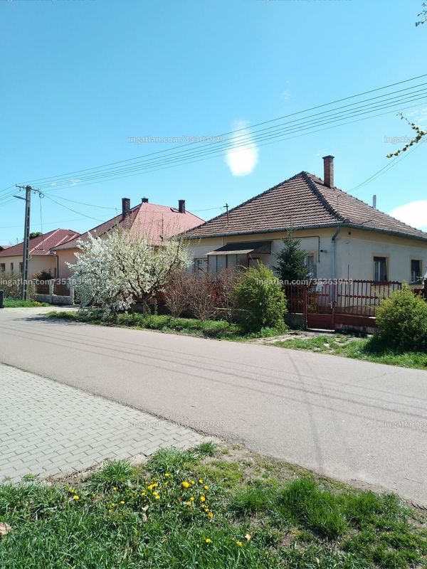 Foto auflisten
