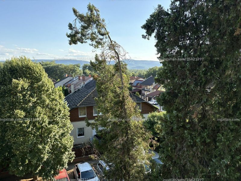 kilátás