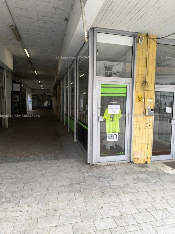 Foto auflisten
