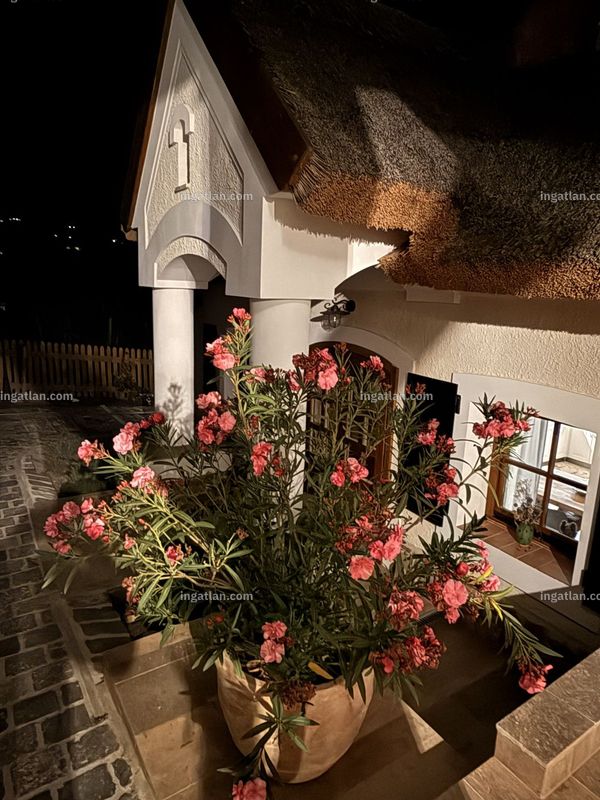 Bild über die Immobilie
