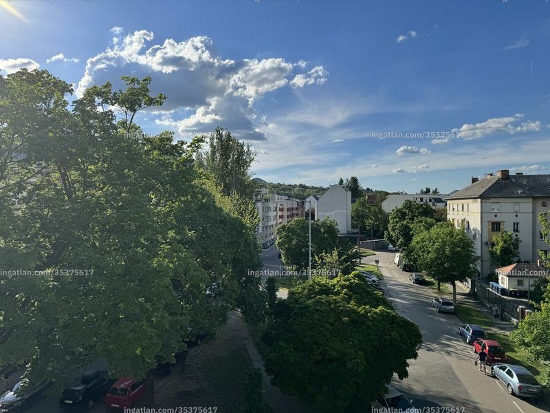 kilátás