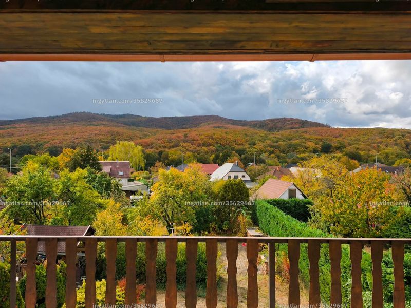 kilátás