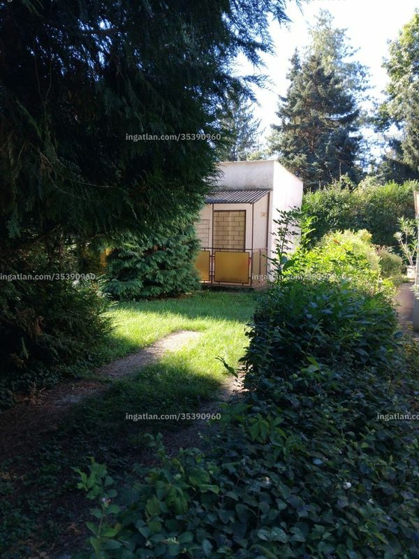 Hirdetés fotója