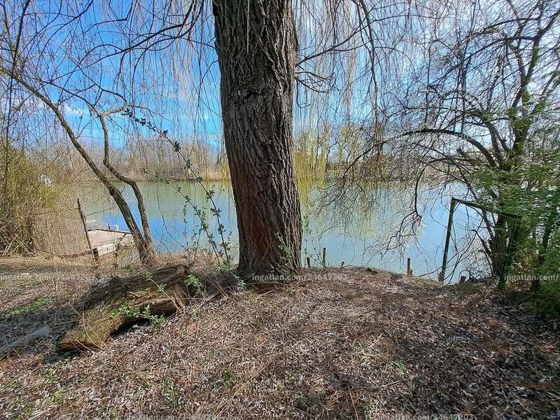 Foto auflisten