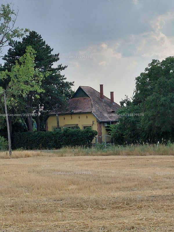 Kép az ingatlanról