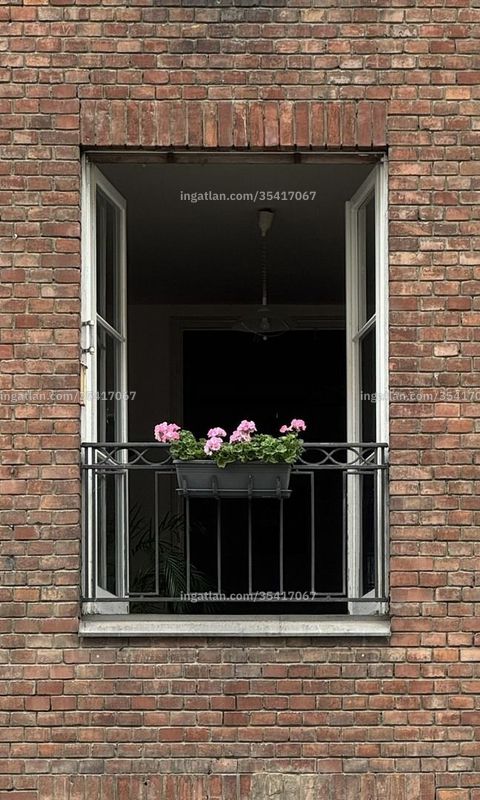 Foto auflisten