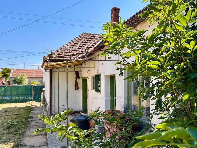 Ingatlan kép