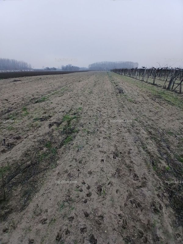 Foto auflisten