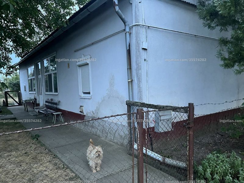 Hirdetés fotója