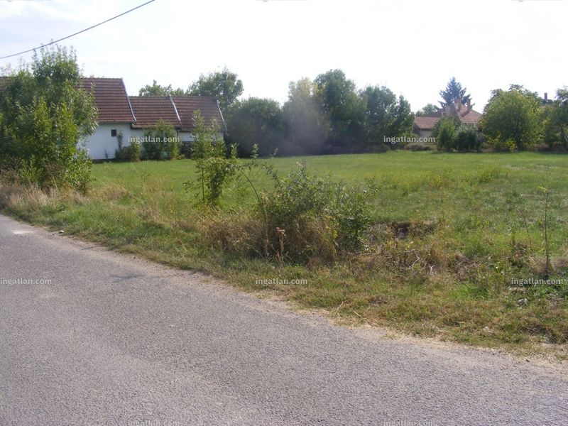 Foto auflisten