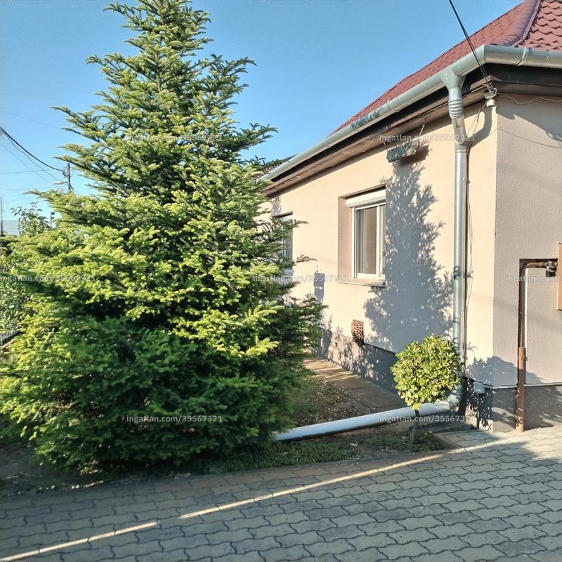 Foto auflisten