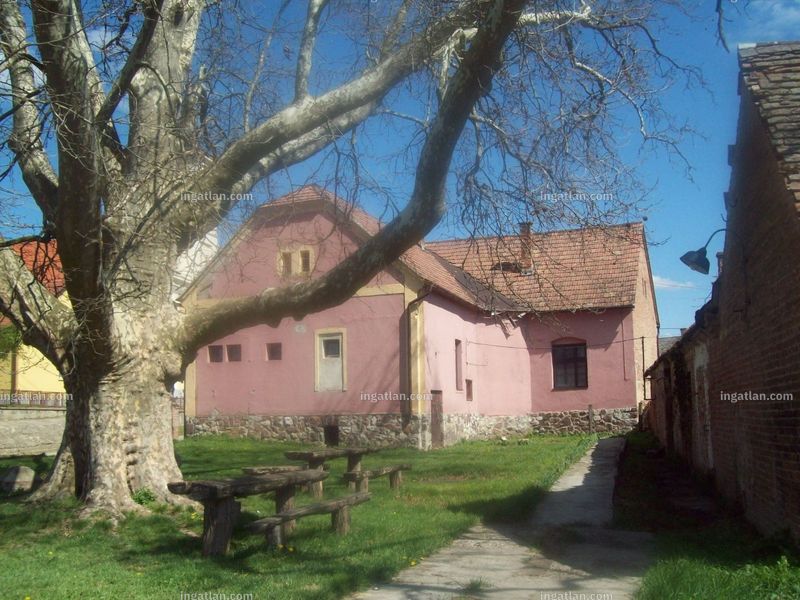 Hirdetés fotója