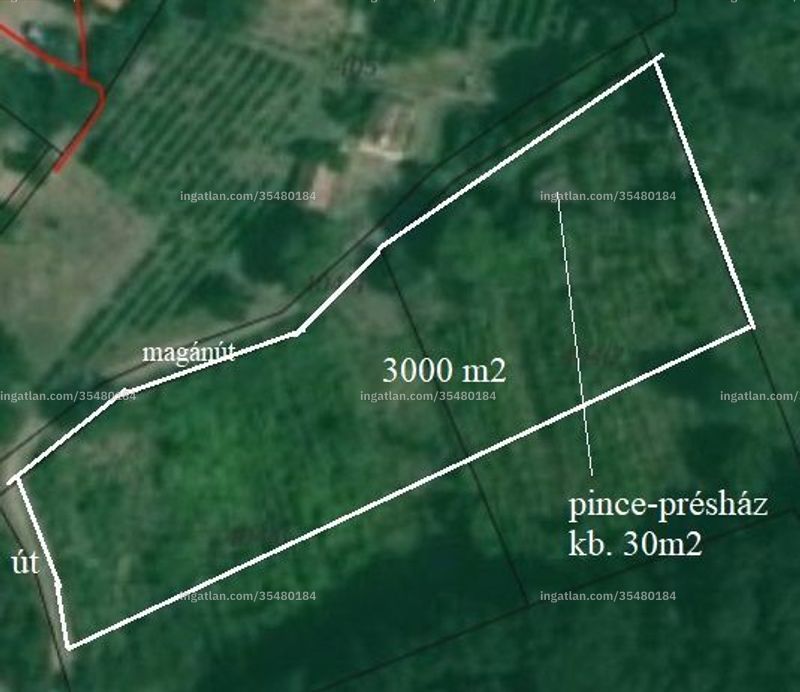 Ingatlan kép