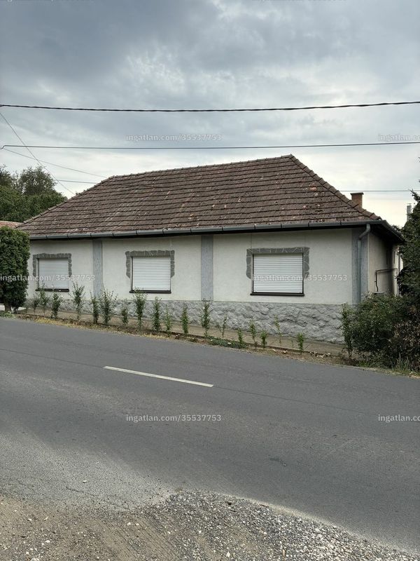 Ingatlan kép