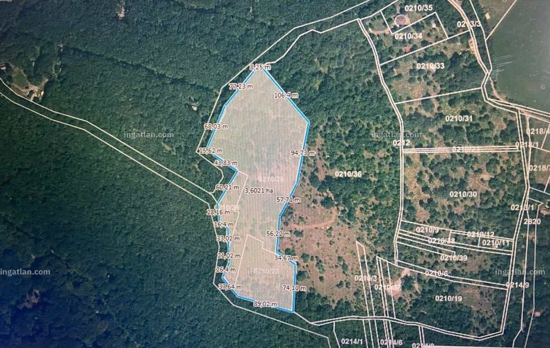 Picture of the real estate