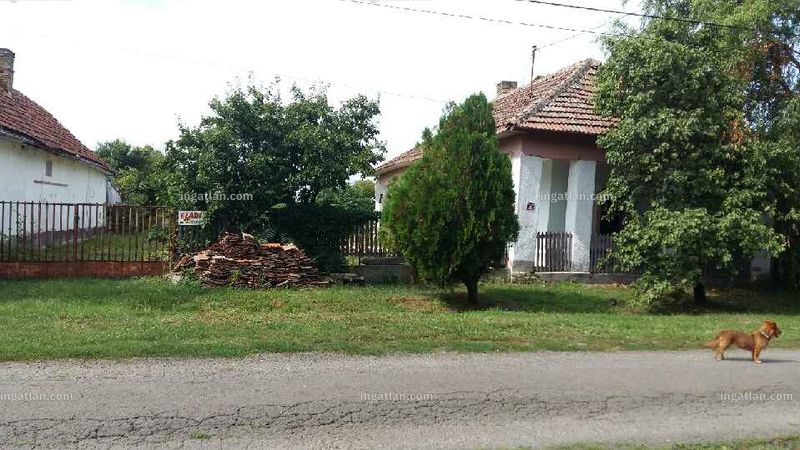 Kép az ingatlanról