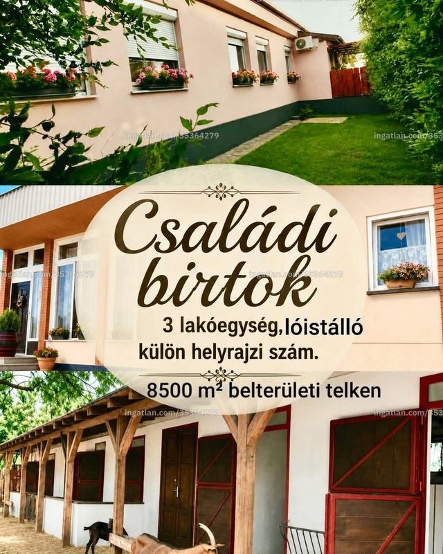 Hirdetés fotója