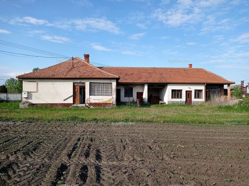 Listing photo
