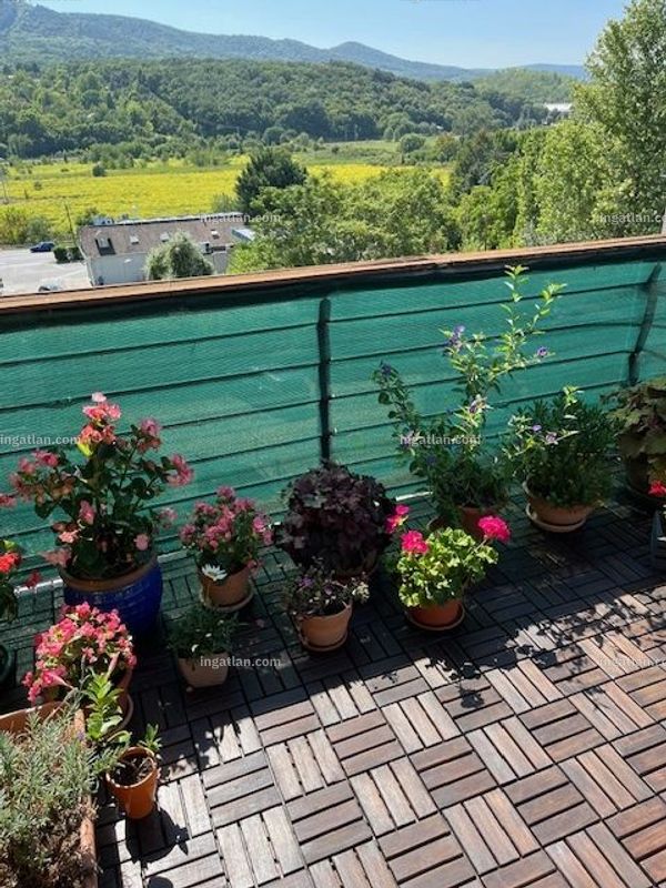 terrace