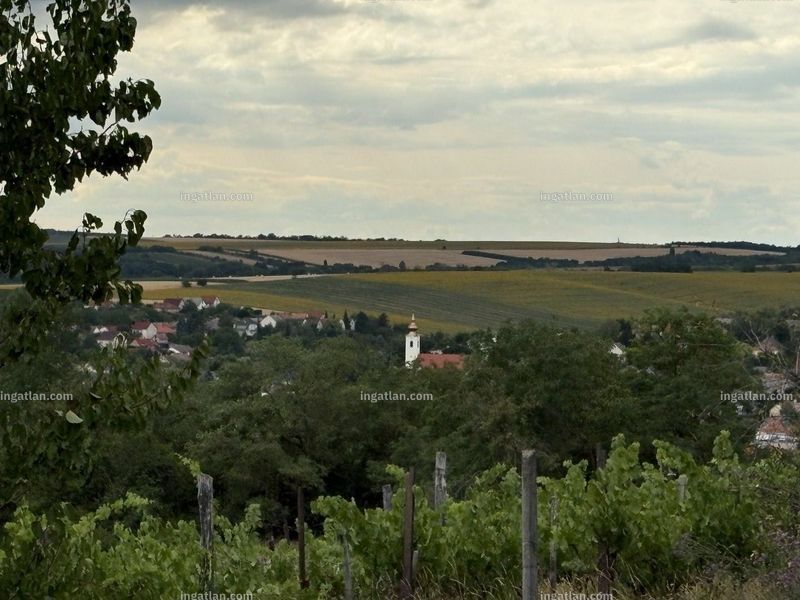 kilátás