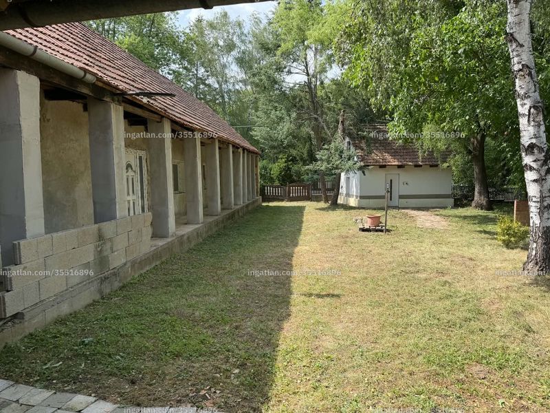 Ingatlan kép