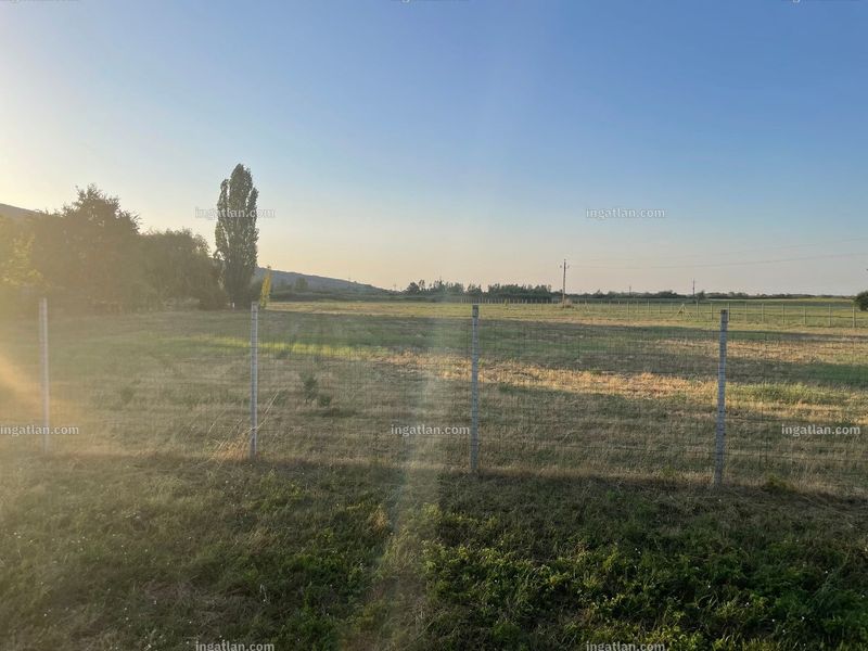 Foto auflisten